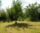 Finca Schwochel