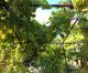 Thassos